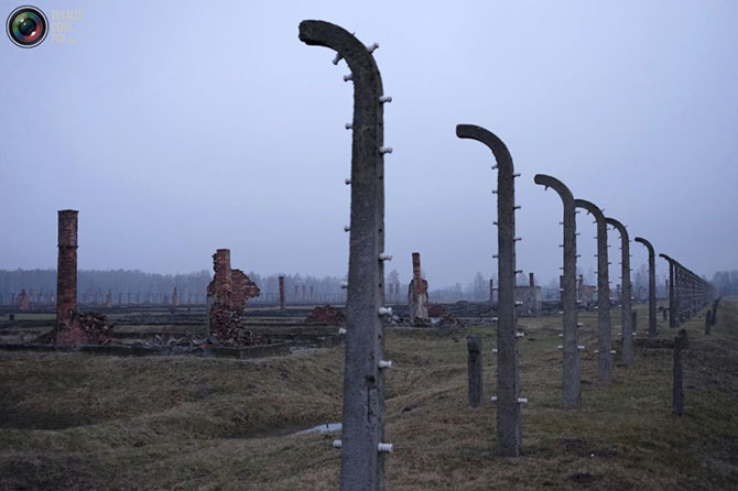 Освенцим в наши дни