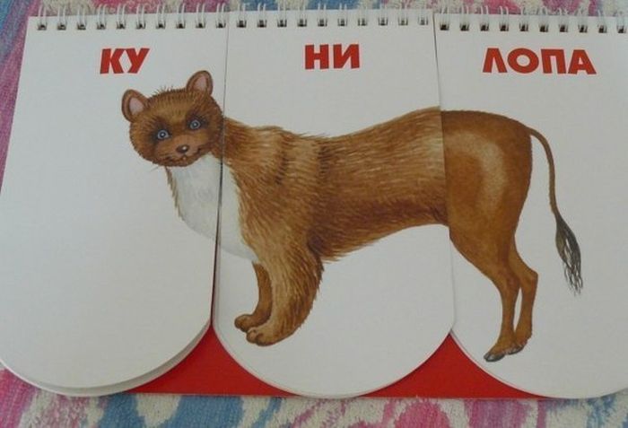 Порция картикнок