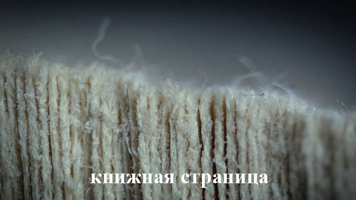 Порция картикнок