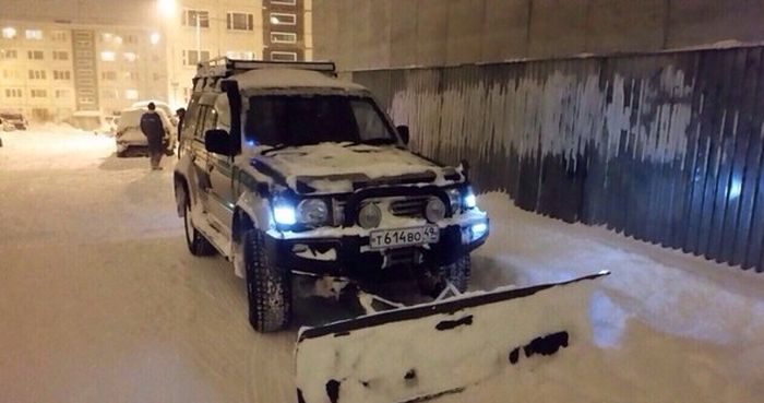 Порция картикнок