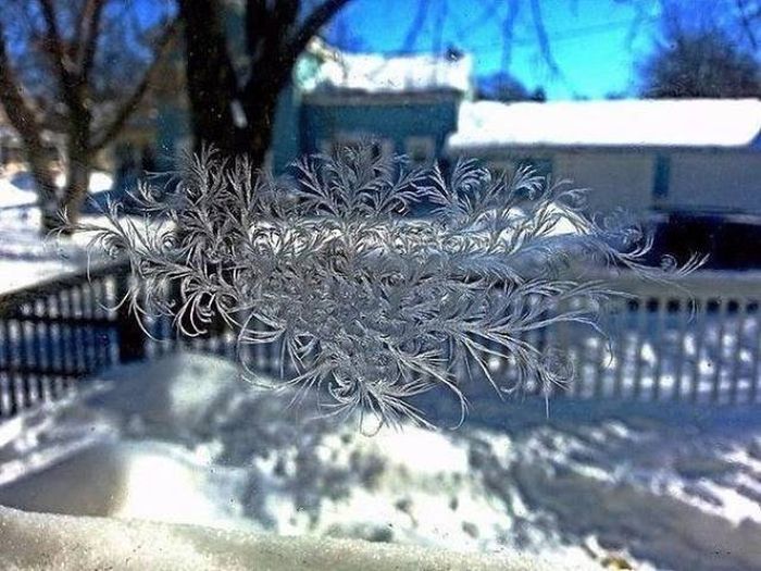 Фото, которые вызывают эмоции