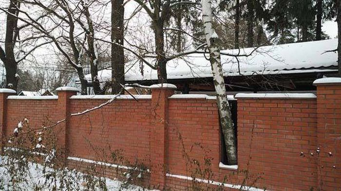Фото, которые вызывают эмоции
