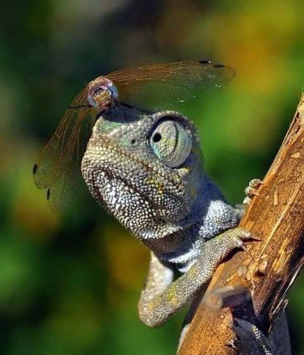 Фото, которые вызывают эмоции