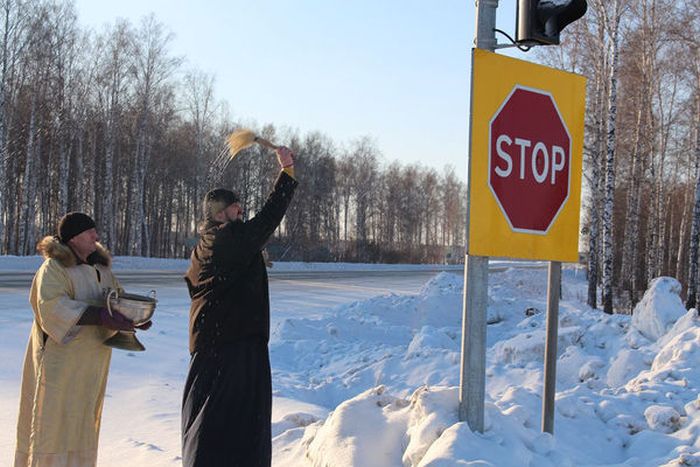 Прикольные картинки