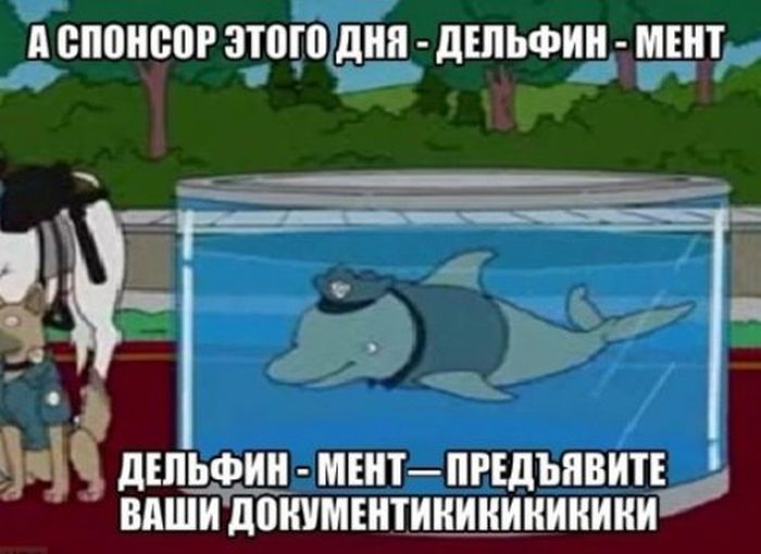 Прикольные картинки