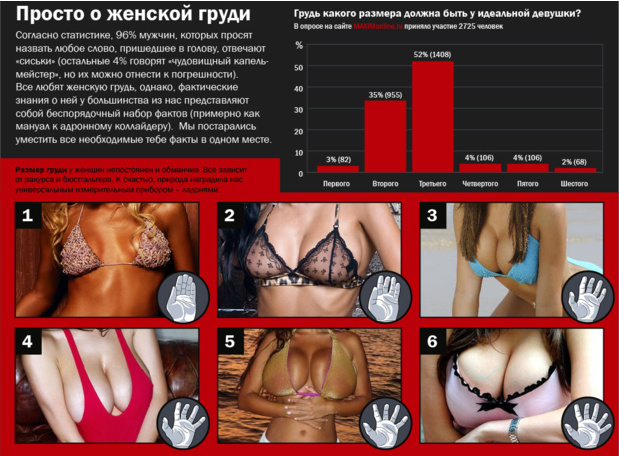 Путеводитель по женской груди