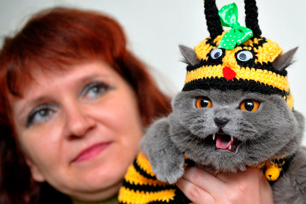 Животные в фотографиях