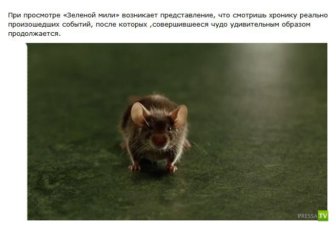 Интересные и увлекательные факты о съемках легендарного фильма «Зеленая миля»