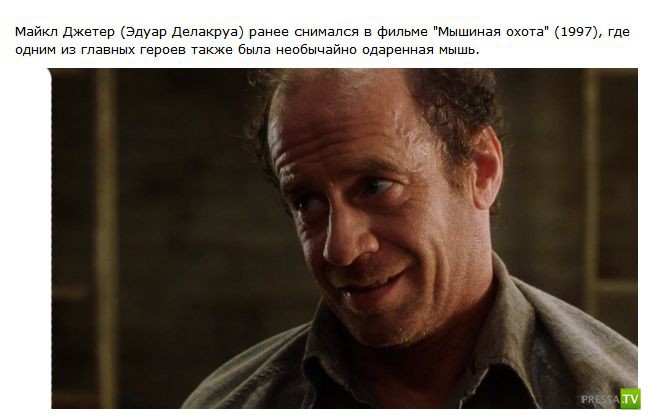 Интересные и увлекательные факты о съемках легендарного фильма «Зеленая миля»