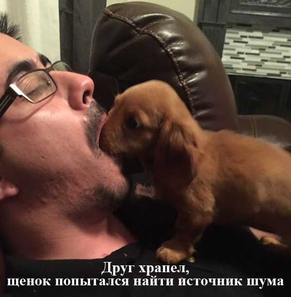 Порция картинок