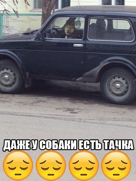 Порция картинок