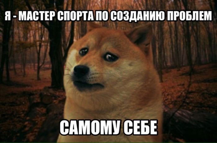 Порция картинок