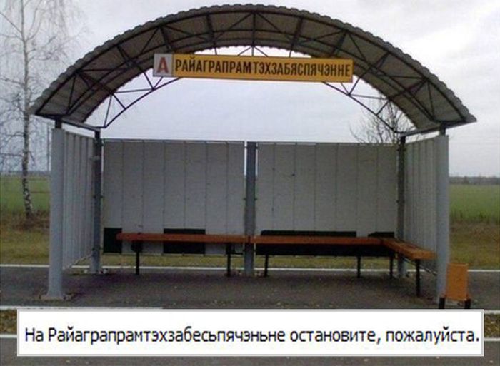 Порция картинок