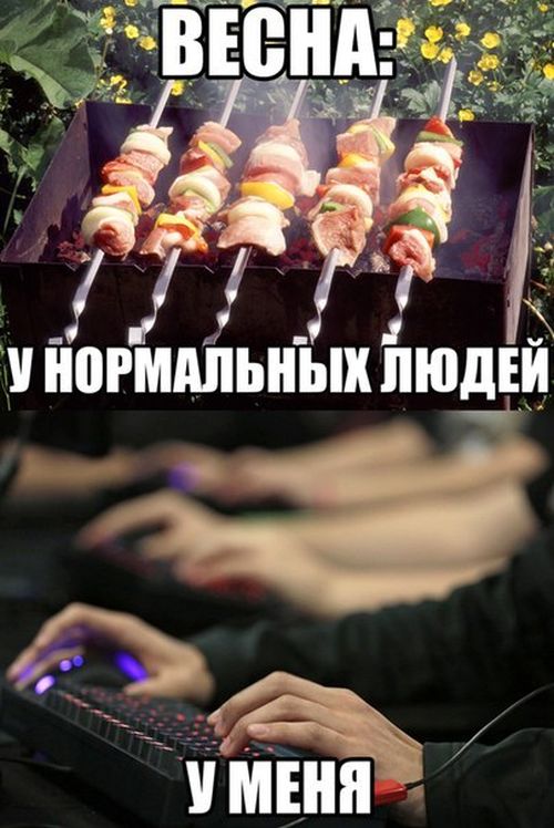 Порция картинок
