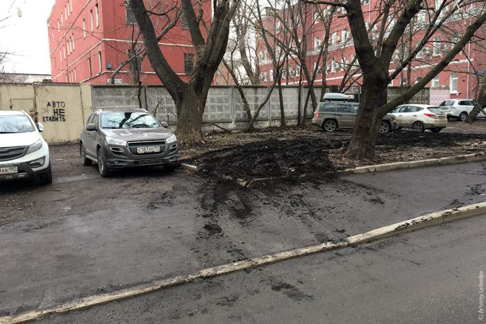 Прикольные картинки