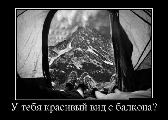 Демотиваторы