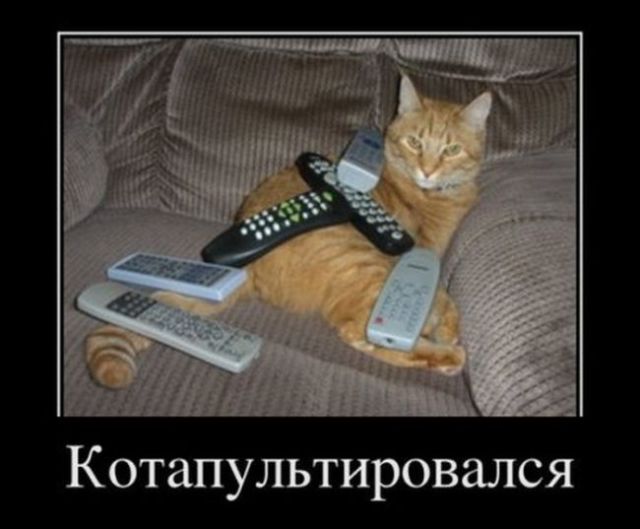 Демотиваторы