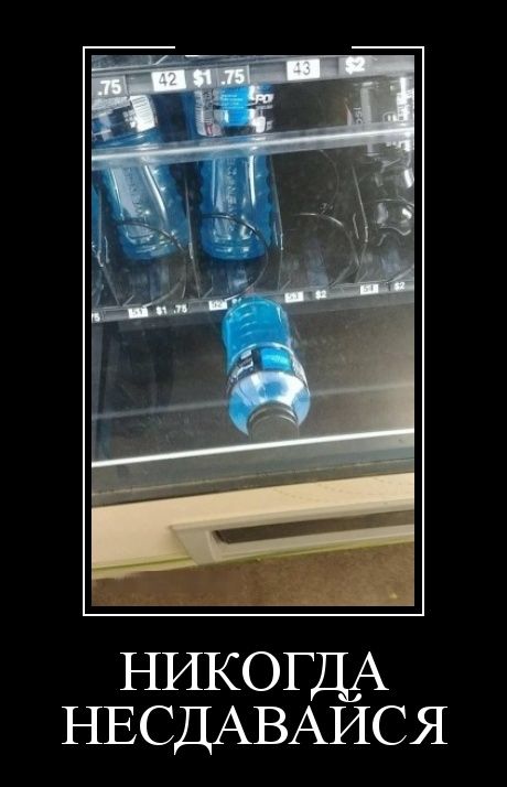 Демотиваторы