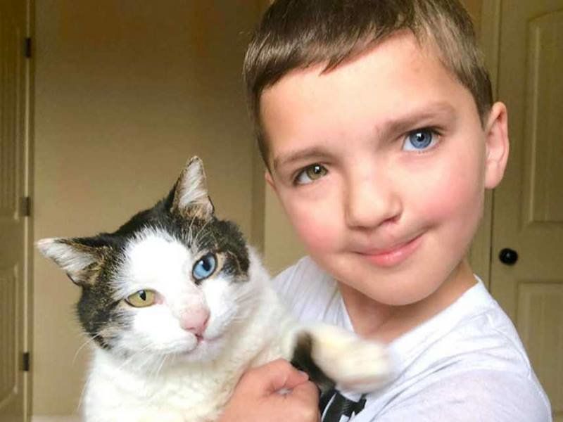 Мальчик с заячьей губой и разноцветными глазами нашел своего котенка-близнеца