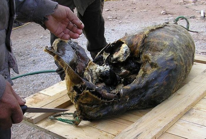 Опасная пища Опасная пища