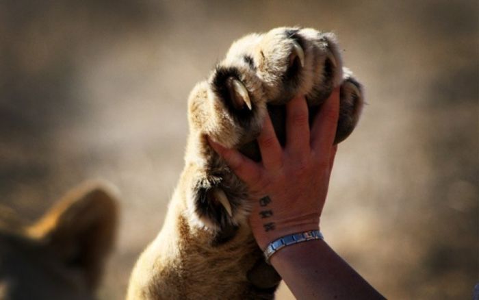 Прикольные картинки