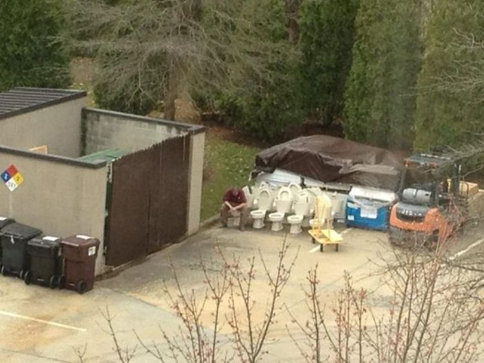 Прикольные картинки