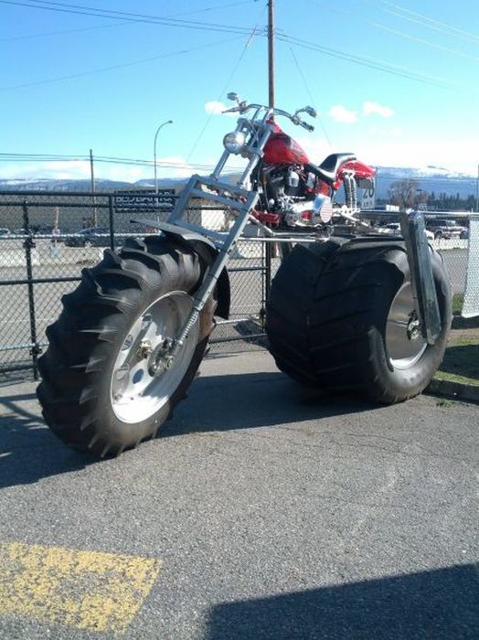 Прикольные картинки