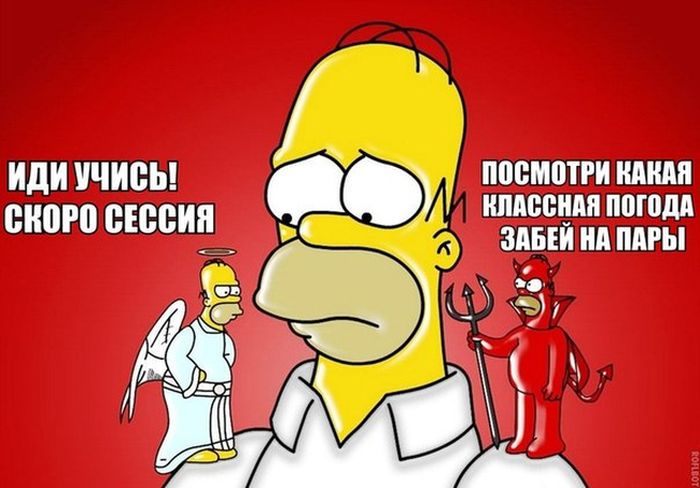 Порция картинок