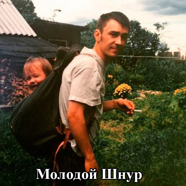 Порция картинок
