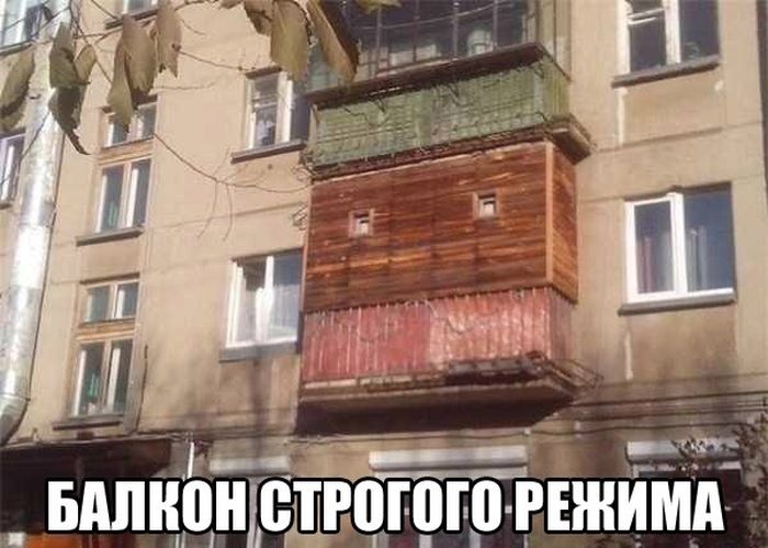 Порция картинок