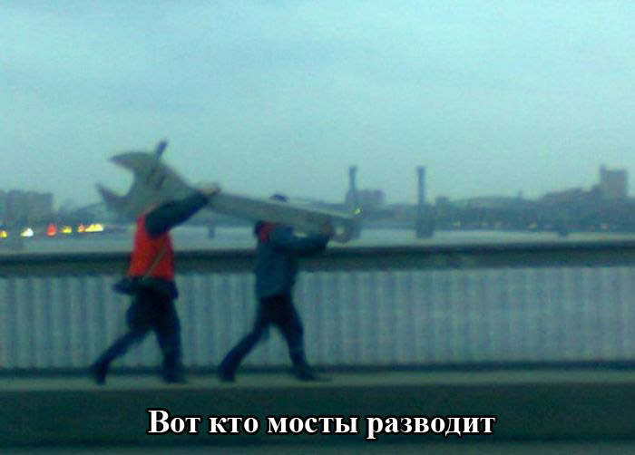Порция картинок