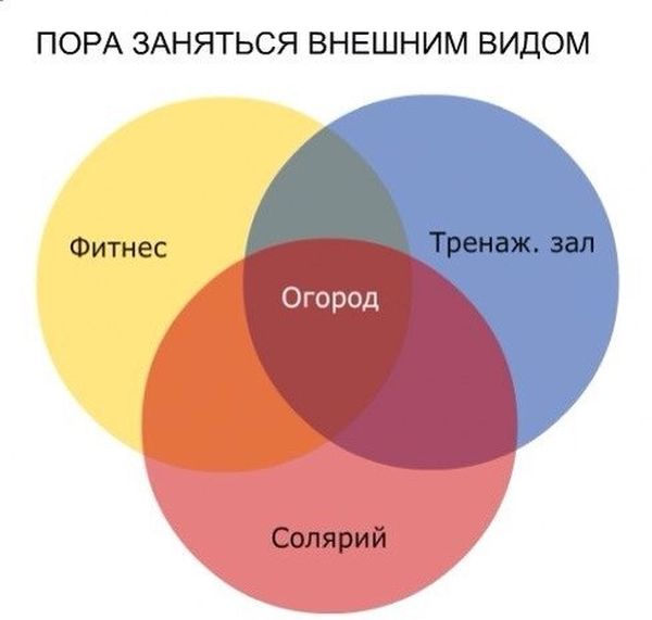 Порция картинок