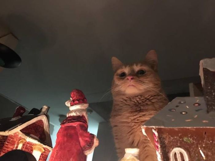 Прикольные фотожабы