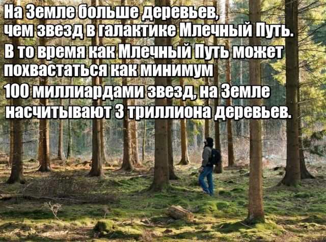 Любопытные факты, которые не могут не удивить
