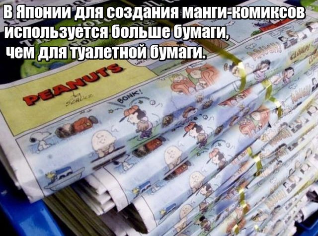 Любопытные факты, которые не могут не удивить