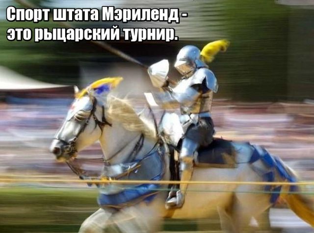 Любопытные факты, которые не могут не удивить
