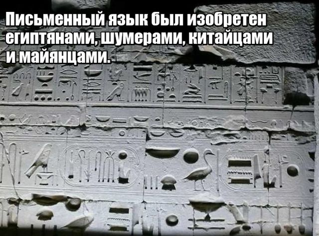 Любопытные факты, которые не могут не удивить