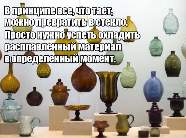 Любопытные факты, которые не могут не удивить