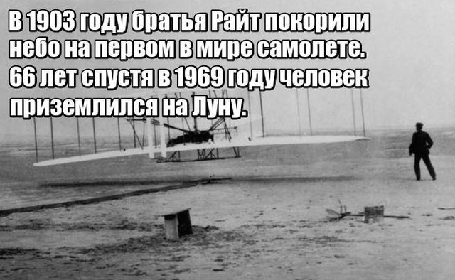 Любопытные факты, которые не могут не удивить