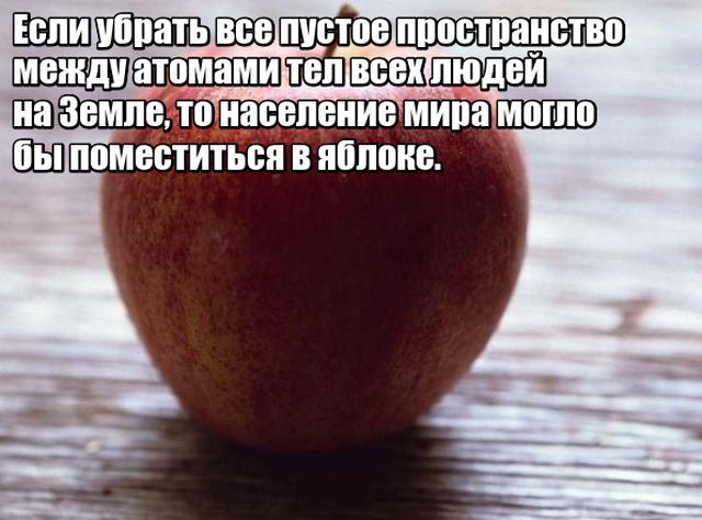Любопытные факты, которые не могут не удивить