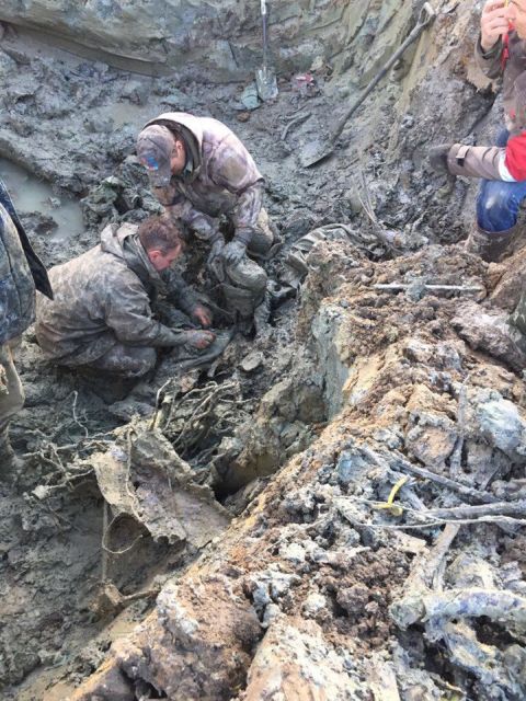 Под Санкт-Петербургом найден сбитый самолет Миг-3 и останки летчика