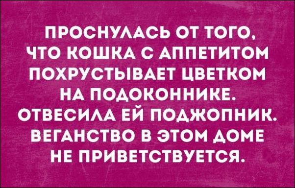 С этим сложно поспорить