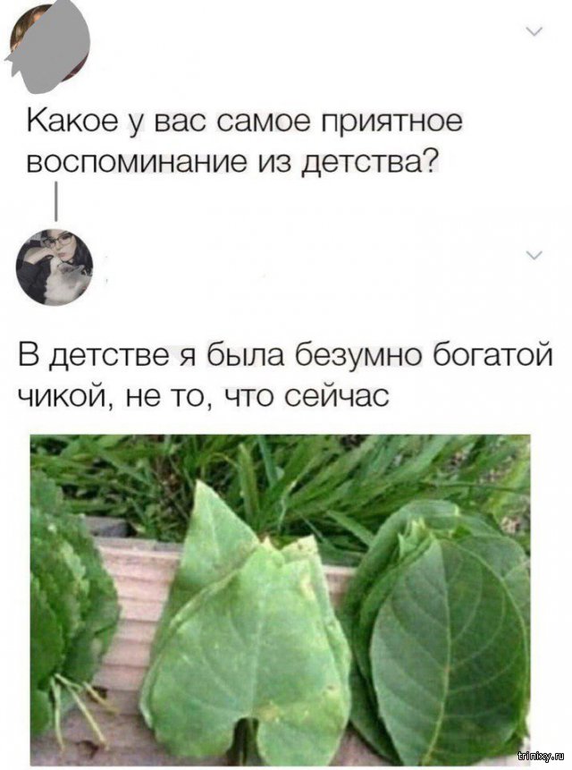 Смешные комментарии из социальных сетей