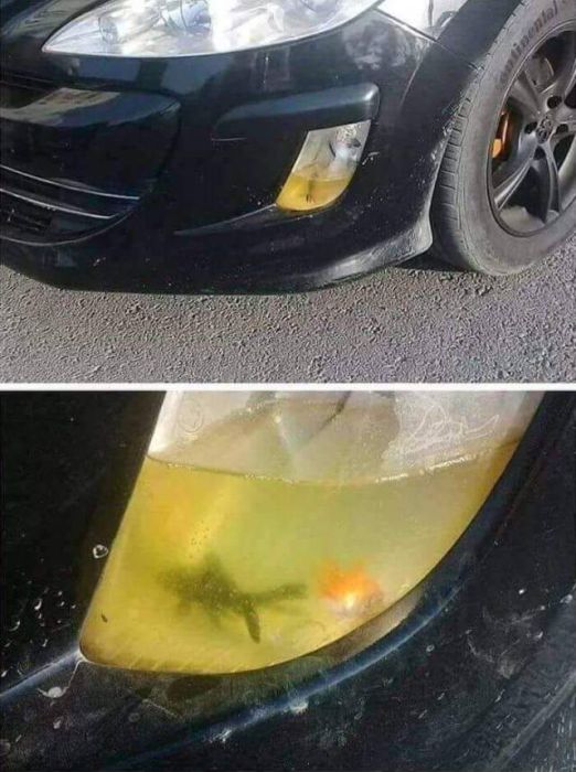 Странные фотографии