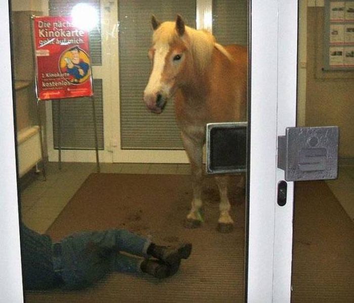 Странные фотографии