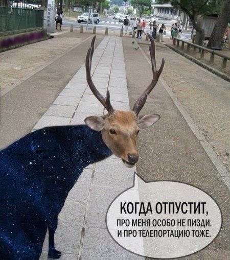 Прикольные картинки (46 фото)