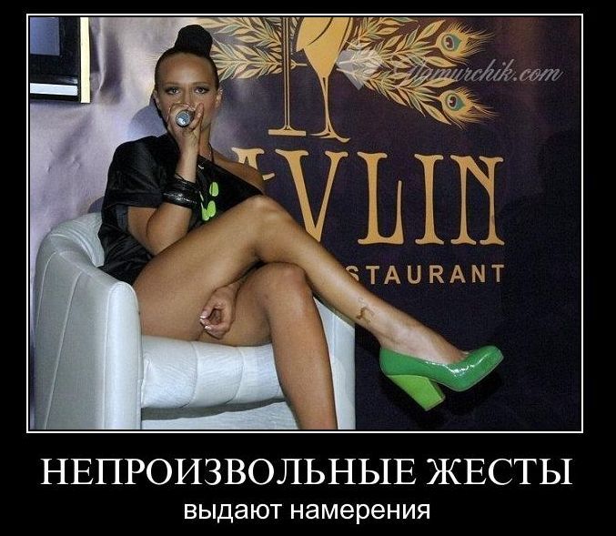 Прикольные картинки (56 фото)