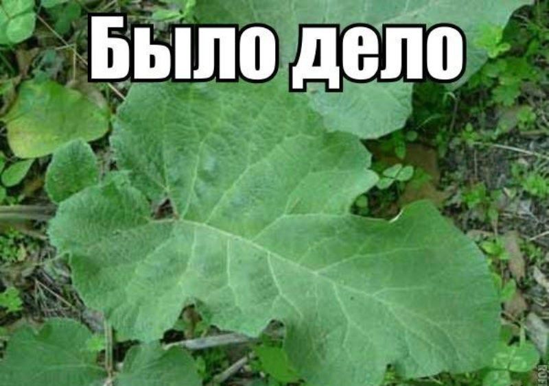 Прикольные картинки (56 фото)