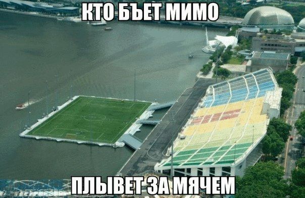 Прикольные картинки (56 фото)