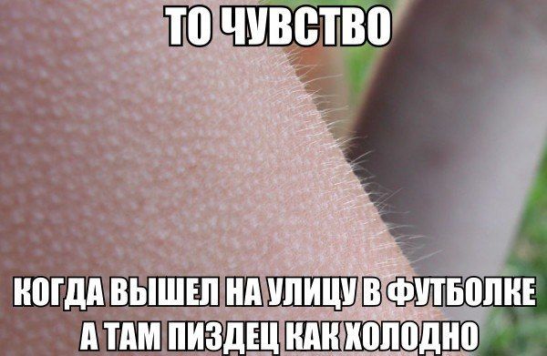 Прикольные картинки (56 фото)